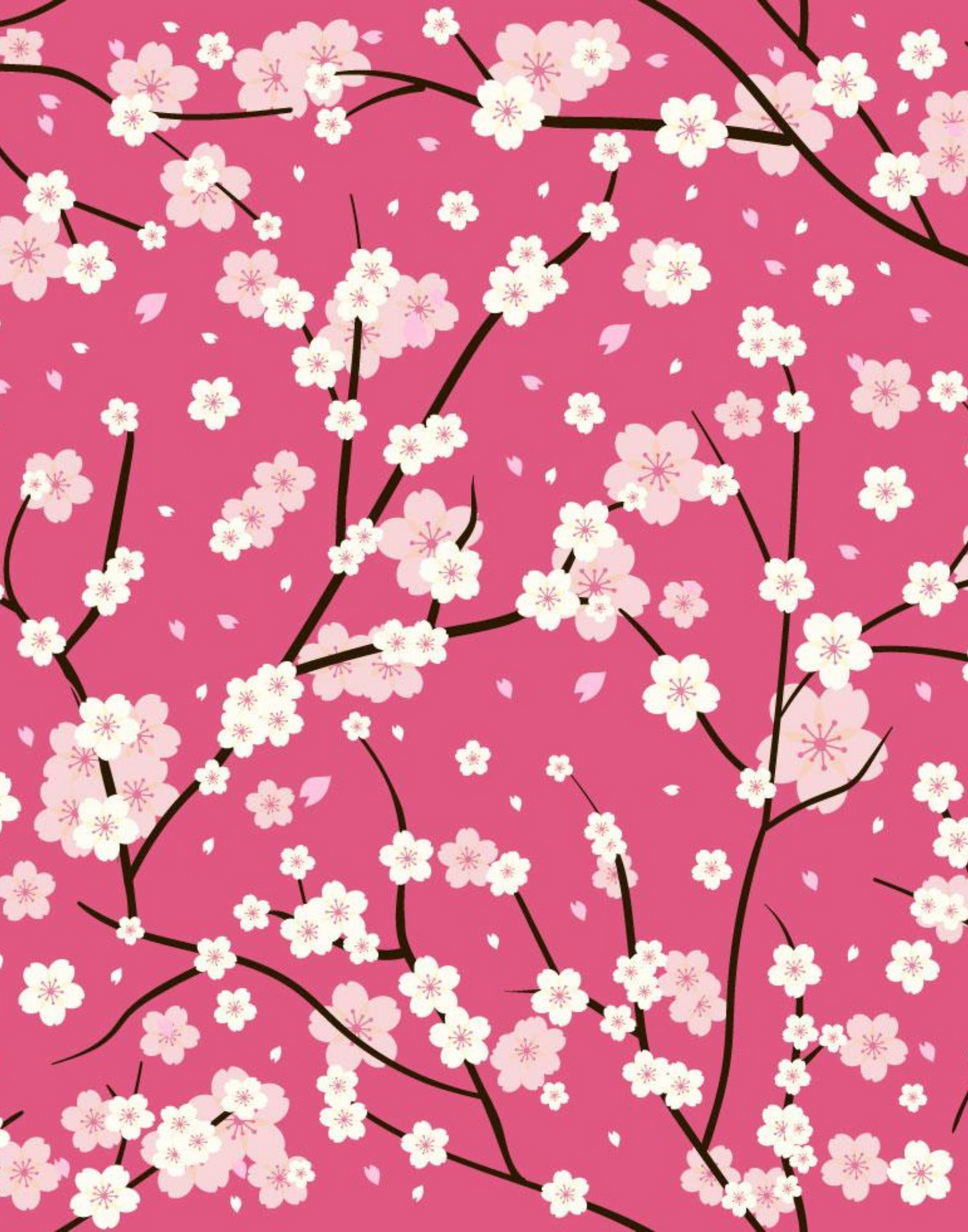 Cherry Blossoms